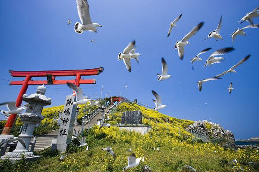 ☆【WEB決済限定　早期予約20】★返金不可★朝食付（日替わり膳）
