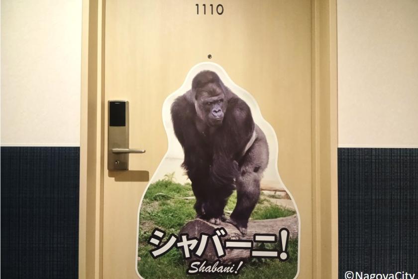 沙巴尼房间