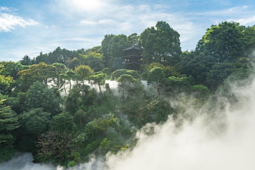 知る・観る・歩く 文京区 特別編　庭師が教える苔玉づくり