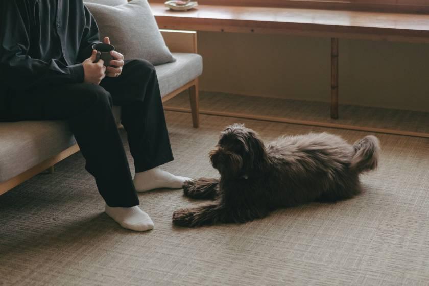 NAIKI 602号室 ドッグフレンドリースイート 93㎡