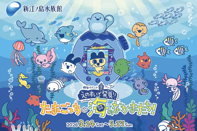 【新江ノ島水族館入館チケット付】幻想的な癒し空間で楽しむ湘南旅【朝食無料】