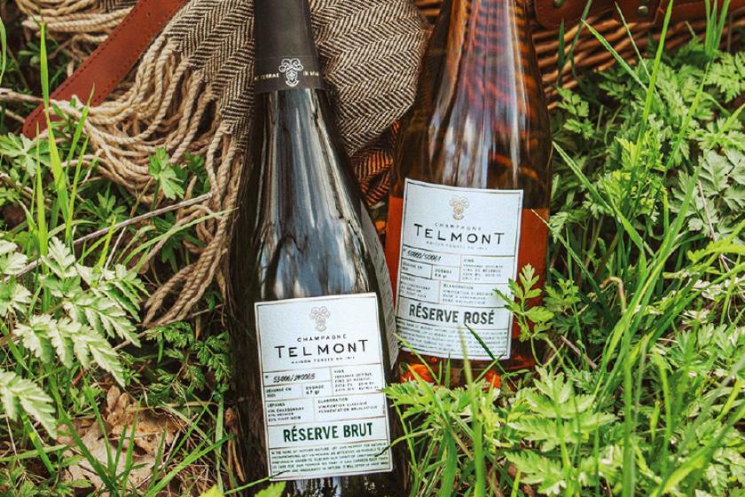 【TheMana Village × TELMONT 「自然と共存するシャンパーニュペアリング体験」】２食付～季節の土佐会席夕食～