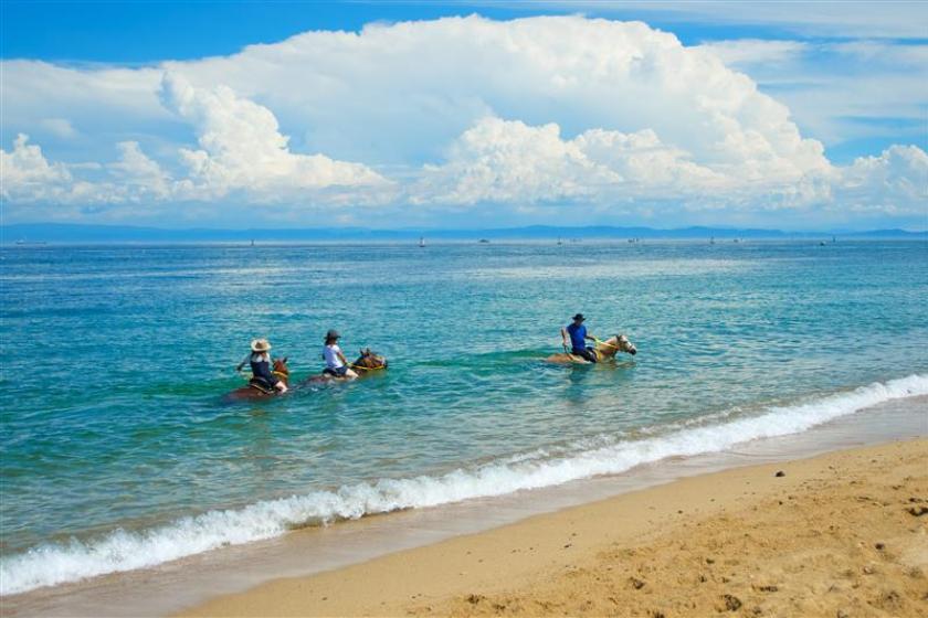 【夏季限定｜オールインクルーシブ】海で愉しむ乗馬体験付きリトリートステイ