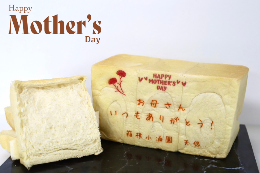 【5月10日限定】母の日を特別な一日に♪お母さんを笑顔にする９大特典付プラン