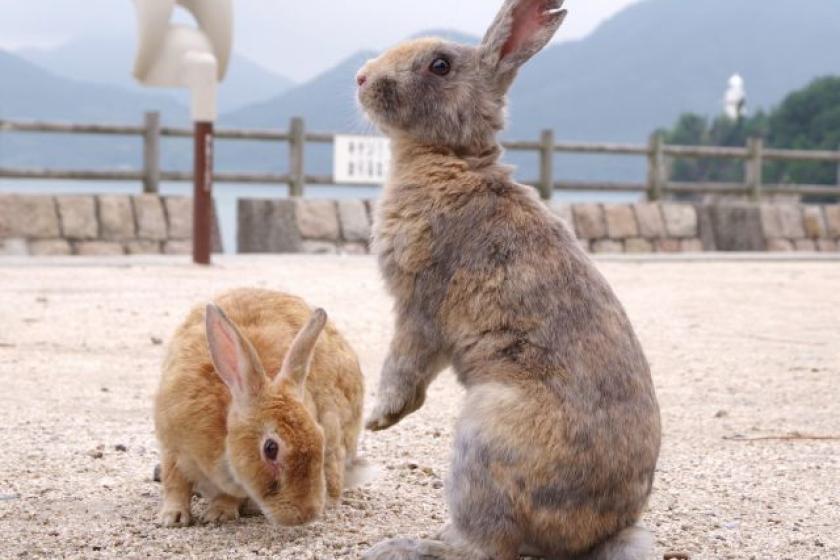 "うさぎ島"に眠る歴史を訪ねて。遊んで、学ぶサイクリングガイドツアーリクエストプラン(2食付き)