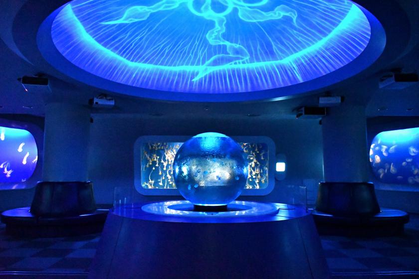 【新江ノ島水族館入館券付き】鎌倉からめぐる、海の休日【朝食無料】