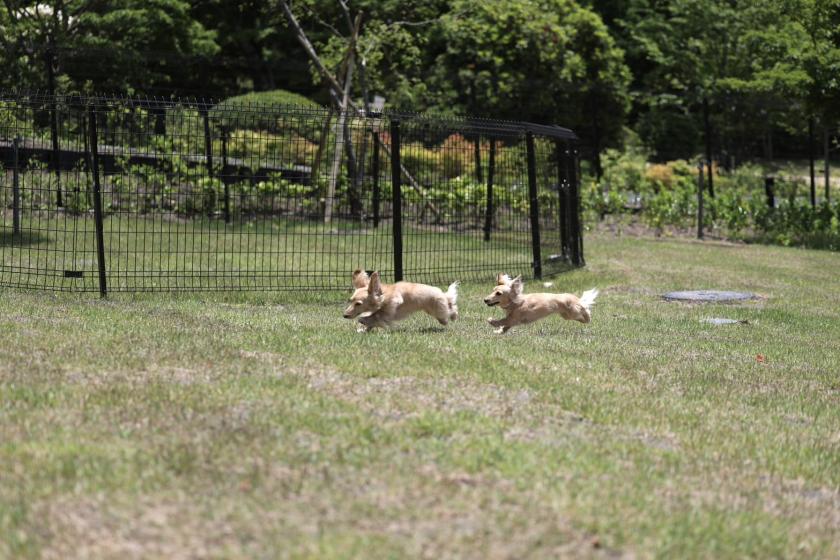 【夕食グレードアップ】～愛犬と愉しむ美食の宵～　1泊2食付きプラン