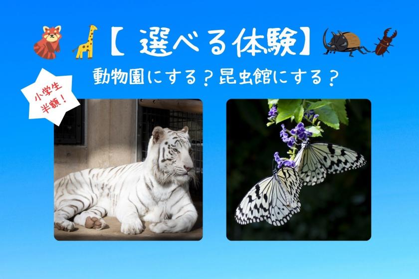 【夏限定！小学生半額！】選べる体験チケット付いしかわ動物園 or ふれあい昆虫館プラン★ナイトZOO開催日もあり！＜食事なし＞