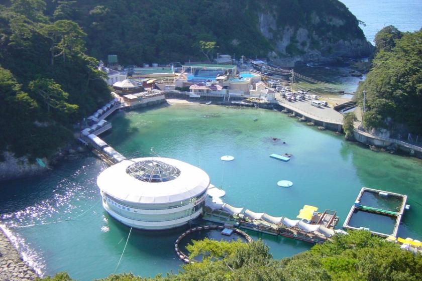 【2026年ファミリープラン】プールも温泉も水族館も楽しめてお子様も大満足☆グループコラボ企画×箱根小涌園ユネッサン・下田海中水族館付