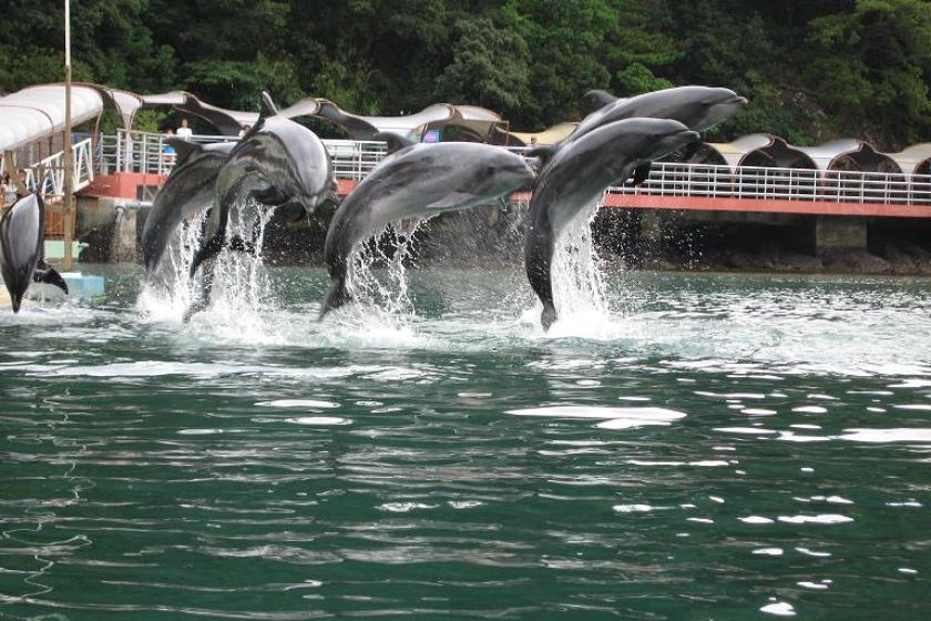 【2026年ファミリープラン】プールも温泉も水族館も楽しめてお子様も大満足☆グループコラボ企画×箱根小涌園ユネッサン・下田海中水族館付