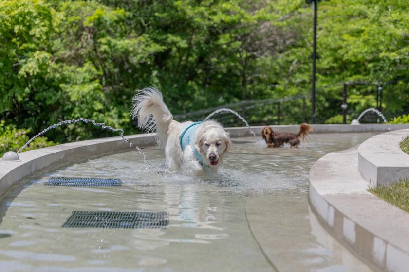 【朝食付き】～愛犬と過ごす贅沢な朝～　1泊朝食付きプラン