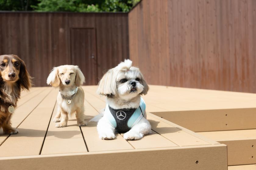 【夕食スタンダード】～愛犬と寛ぎのひとときを～　1泊2食付きプラン