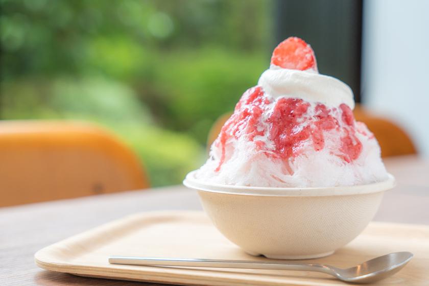 【平日限定】＜朝食付＞避暑ごもりResetステイ☆夏のホテルステイを楽しむ特典付き