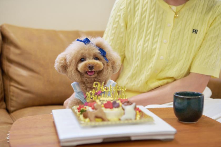 【愛犬記念日プラン】わんちゃんのケーキ付き◆「若狭ふぐ」の繊細な旨味を味わう旬の特別懐石＜2食付き＞