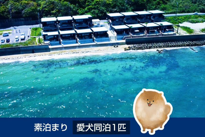 素泊まり　愛犬同泊1匹