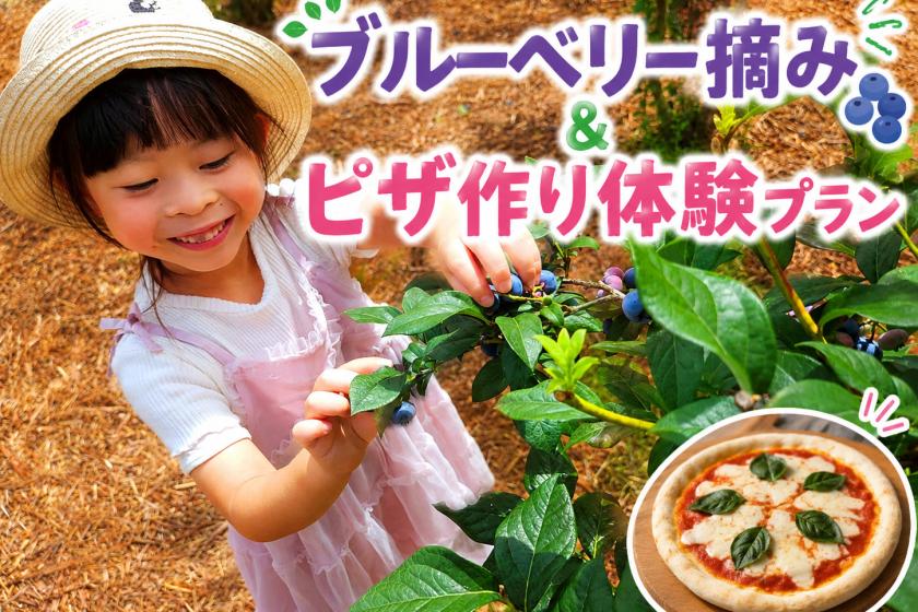 【夏の思い出作り】ブルーベリー摘みとピザ作り体験！夕朝ビュッフェプラン