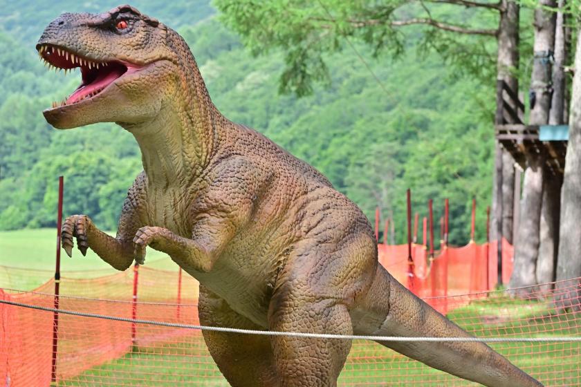 【恐竜ワールド】リステルパークで恐竜に隠された謎を解け！親子で探検プラン