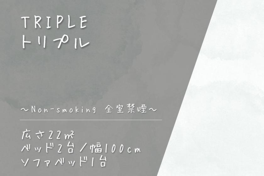 トリプルルーム　シングルベッド２台・ソファーベッド１台　　～お部屋からはトレインビューを楽しめます♪～
