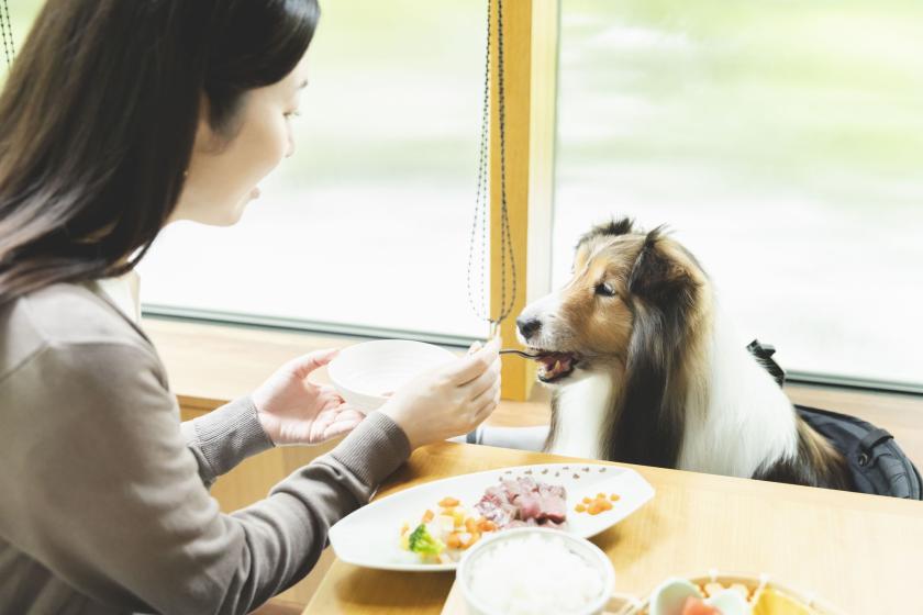 【1日2組限定】Happy Halloween☆愛犬が主役のハロウィン特別プラン　RDC会員専用　本格懐石料理／1泊2食付