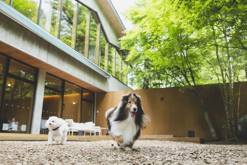 【1日2組限定】Happy Halloween☆愛犬が主役のハロウィン特別プラン　RDC会員専用　本格懐石料理／1泊2食付