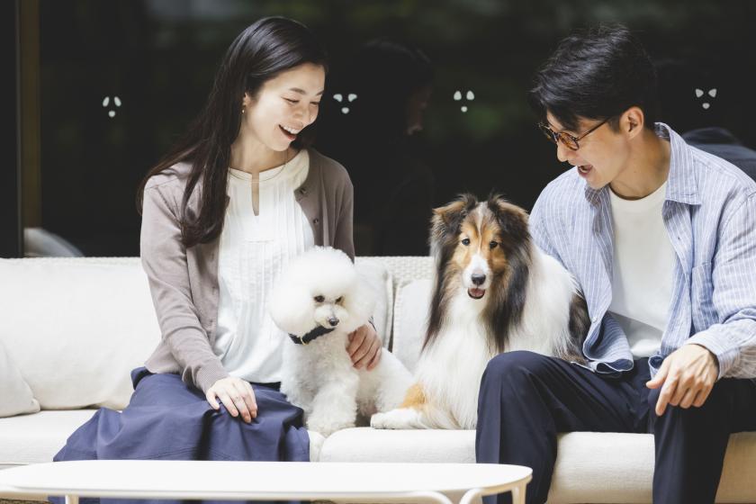 RDC会員様専用【冬季・1日4室限定】冬の贅沢しゃぶしゃぶプラン ◇ 和牛しゃぶしゃぶ会席／1泊2食付