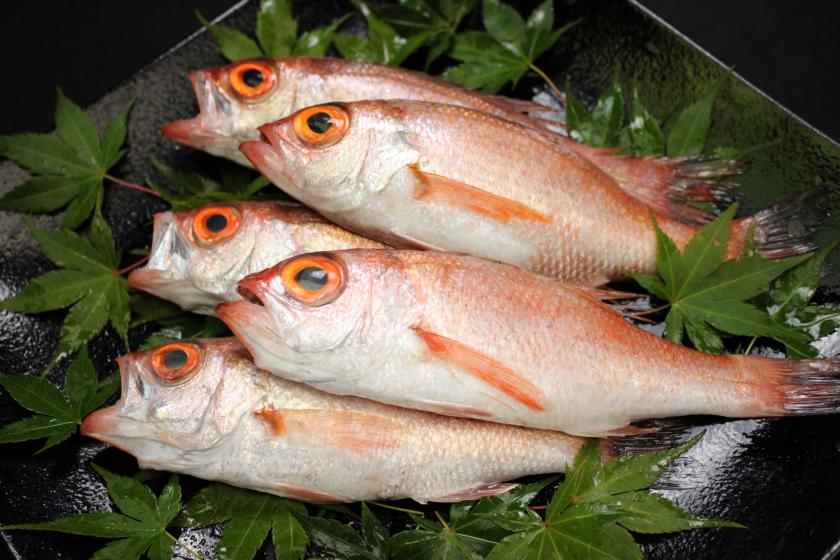 【贅沢三昧！】のどぐろ×ズワイガニ×黒毛和牛 秋の味覚饗宴