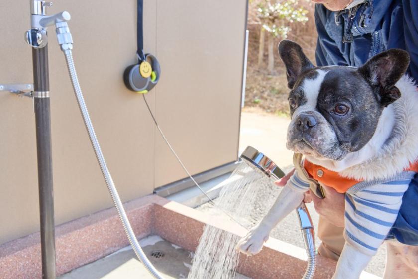 フォレストヴィラDOG（小型犬から大型犬まで）：41.8㎡（テラス・専用庭付き）