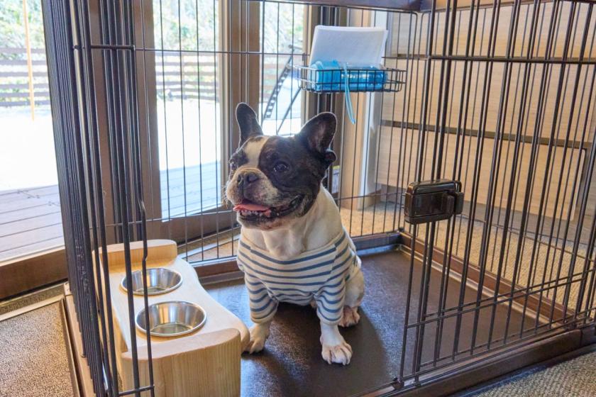 フォレストヴィラDOG（小型犬から中型犬まで）：41.8㎡（テラス・専用庭付き）