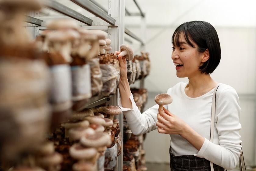 【秋の味覚狩り】肉厚で味もバツグン！菌床椎茸収穫体験　翌日9：00開始プラン