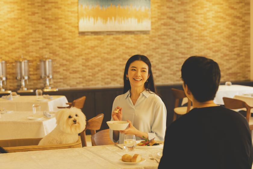 【レジーナリゾートに初めてご宿泊の方】美食プラン/１泊２食付【室数限定/変更不可※変更時は要取り直し】
